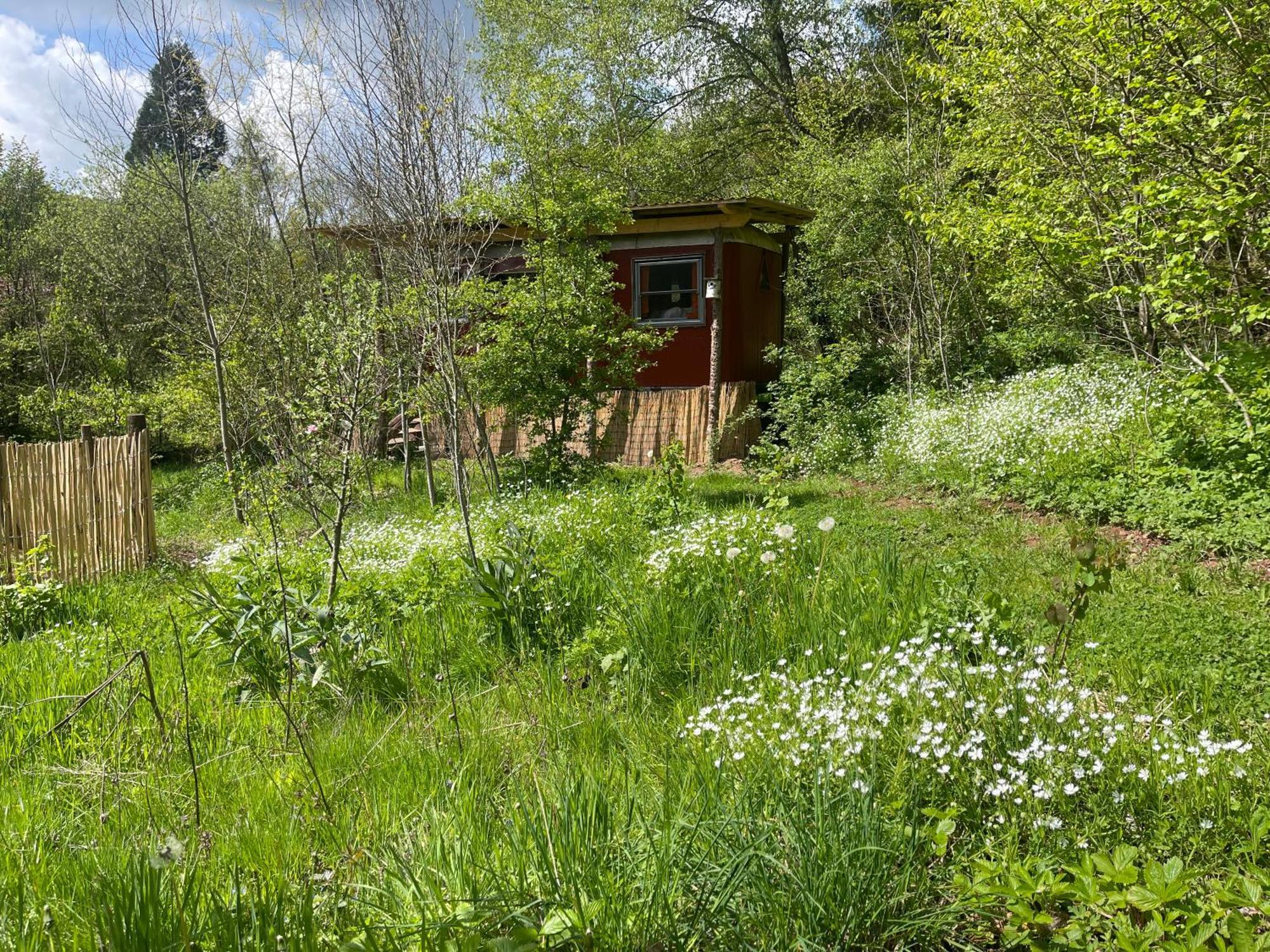 Hotel Zirkuswagen am Waldrand Witzenhausen Exterior foto